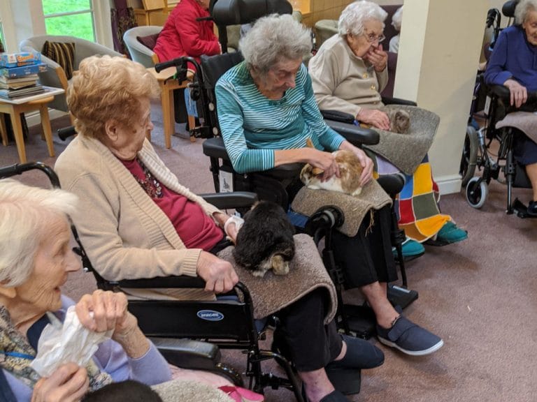 Easton Farm Park Visit to Grove Court