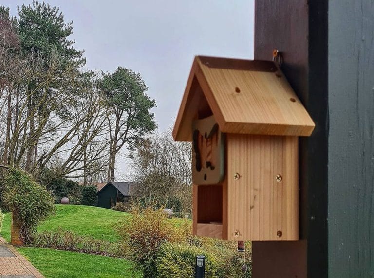 Wildlife Project Continues at Grove Court