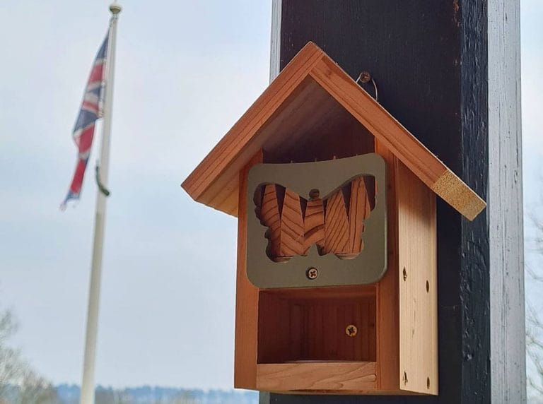 Wildlife Project Continues at Grove Court