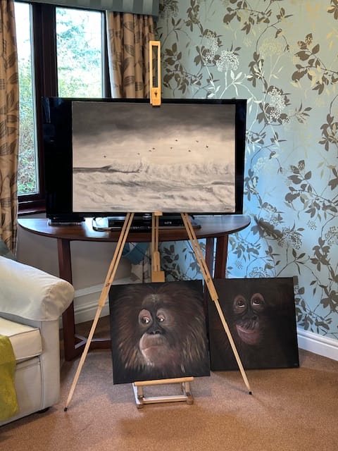 Elizabeth Finn - Rashwood - Art Exhibition