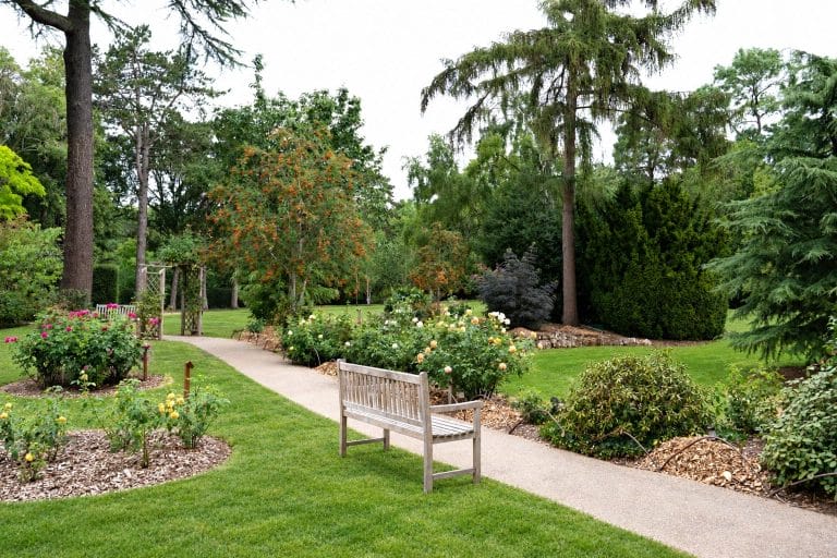 Rashwood Care Home Garden
